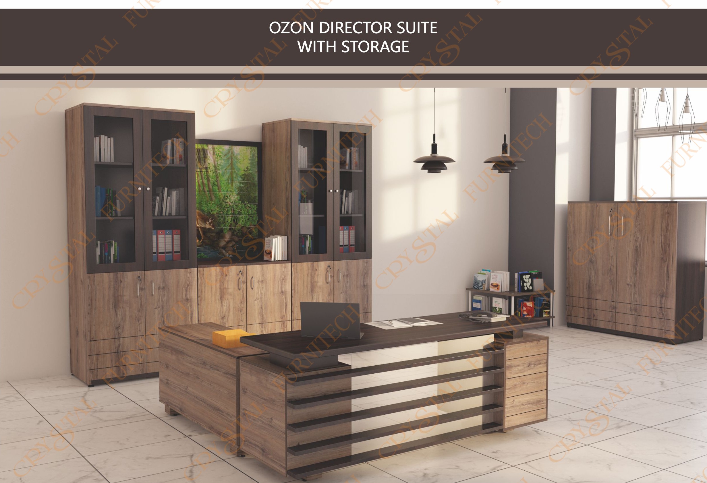Ozon Director Suite with storage